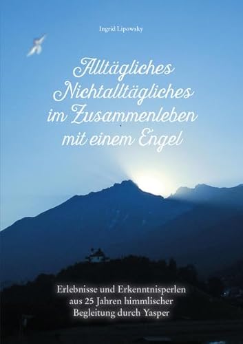 Stock image for Alltgliches Nichtalltgliches im Zusammenleben mit einem Engel: Erlebnisse und Erkenntnissperlen aus 25 Jahren himmlischer Begleitung durch Yasper for sale by medimops