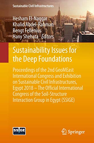 9783030019013: Sustainability Issues for the Deep Foundations