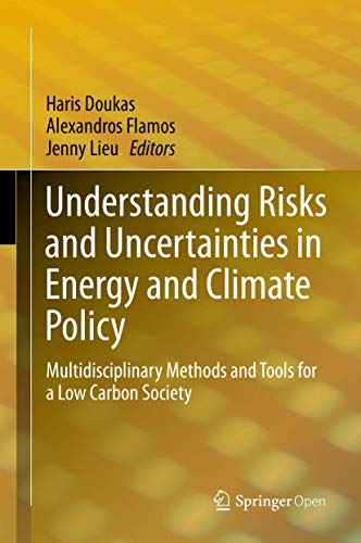 Beispielbild fr Understanding Risks and Uncertainties in Energy and Climate Policy: Multidisciplinary Methods and Tools for a Low Carbon Society zum Verkauf von Homeless Books