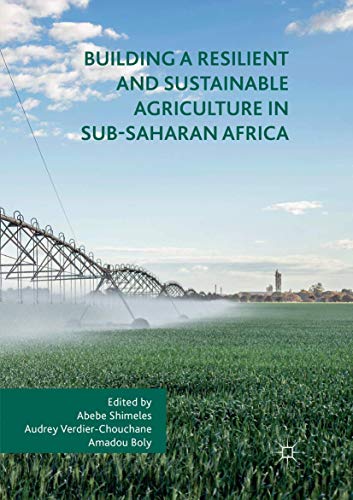 Stock image for Building a Resilient and Sustainable Agriculture in Sub-Saharan Africa for sale by Chiron Media