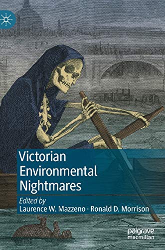 Beispielbild fr Victorian Environmental Nightmares zum Verkauf von Revaluation Books