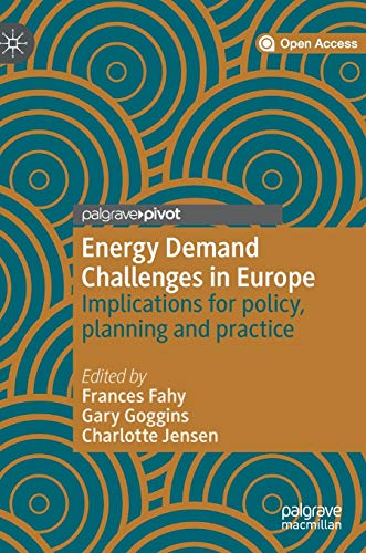 9783030203382: Energy Demand Challenges in Europe: Implications for policy, planning and practice