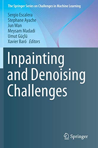 9783030256166: Inpainting and Denoising Challenges