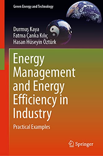 Beispielbild fr Energy Management and Energy Efficiency in Industry. Practical Examples. zum Verkauf von Gast & Hoyer GmbH