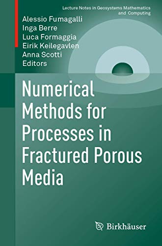 9783030269401: Numerical Methods for Processes in Fractured Porous Media (Lecture Notes in Geosystems Mathematics and Computing)