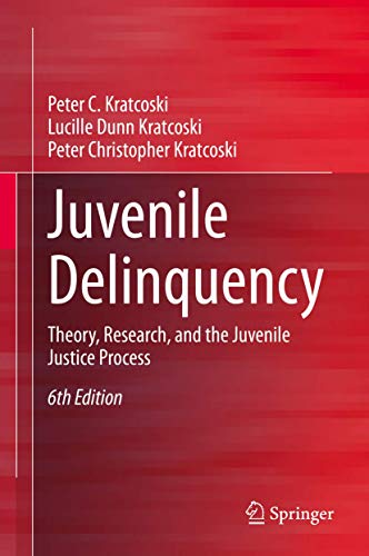 9783030314514: Juvenile Delinquency: Theory, Research, and the Juvenile Justice Process