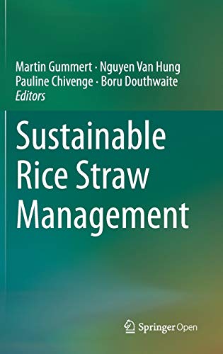 9783030323721: Sustainable Rice Straw Management