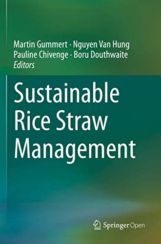 9783030323752: Sustainable Rice Straw Management