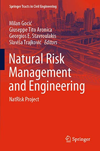 9783030393939: Natural Risk Management and Engineering: NatRisk Project