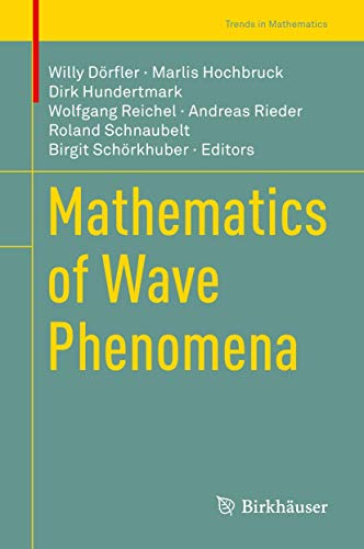 Mathematics of Wave Phenomena [Hardcover]