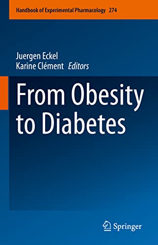 Stock image for From Obesity to Diabetes for sale by Revaluation Books