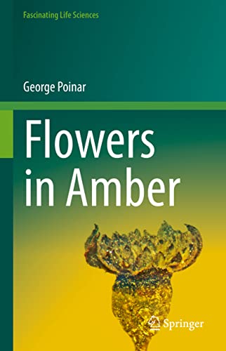 Beispielbild fr Flowers in Amber zum Verkauf von Blackwell's