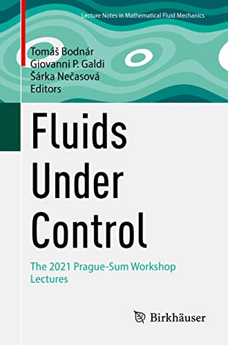 Stock image for Fluids Under Control: The 2021 Prague-sum Workshop Lectures for sale by Revaluation Books