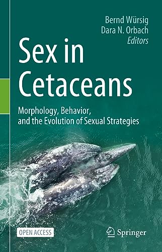 Stock image for Sex in Cetaceans: Morphology, Behavior, and the Evolution of Sexual Strategies for sale by GF Books, Inc.