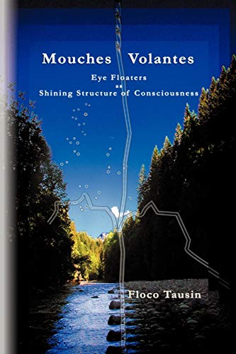 9783033003378: Mouches Volantes - Eye Floaters as Shining Structure of Consciousness