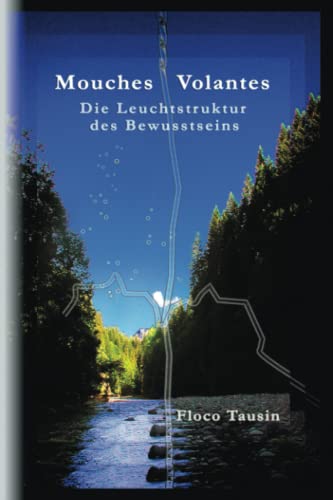 Stock image for Mouches Volantes: Die Leuchtstruktur des Bewusstseins (German Edition) for sale by Lucky's Textbooks