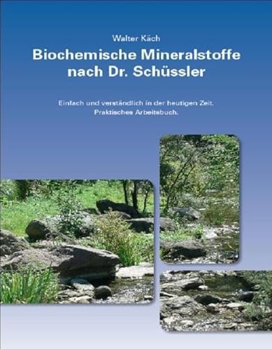 Beispielbild fr Biochemische Mineralstoffe nach Dr. Schssler: Einfach und Verstndlich in der heutigen Zeit. Praktisches Arbeitsbuch zum Verkauf von medimops