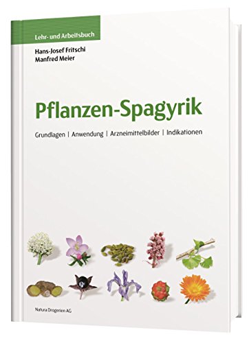 Stock image for Mineral-Spagyrik, Lehr- und Arbeitsbuch for sale by medimops