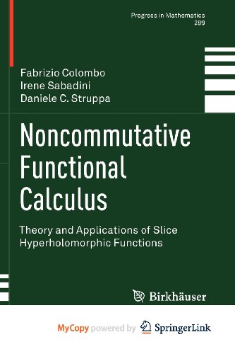 9783034801119: Noncommutative Functional Calculus