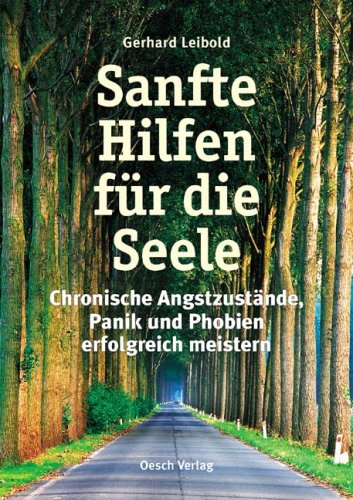 Stock image for Sanfte Hilfe fr die Seele: Wege aus der Angst - praktischer Ratgeber fr Betroffene for sale by medimops