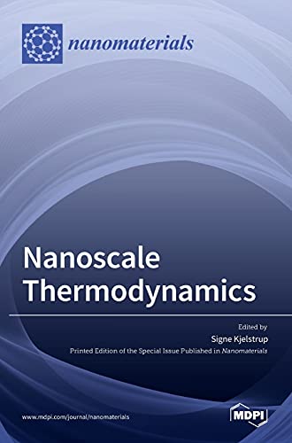 Imagen de archivo de Nanoscale Thermodynamics a la venta por Lucky's Textbooks