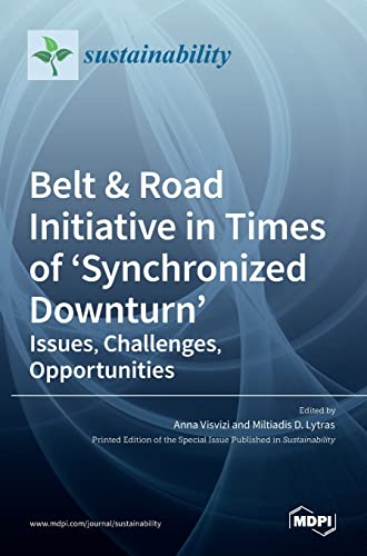 Stock image for Belt & Road Initiative In Times Of 'synchronized Downturn' for sale by GreatBookPrices