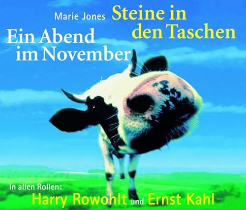 Stock image for Steine in den Taschen. Ein Abend im November. 4 Audio-CDs. for sale by medimops