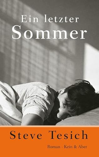 Stock image for Ein letzter Sommer - Roman for sale by Der Bcher-Br