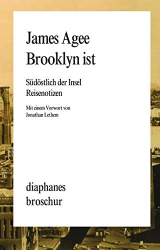 Stock image for Brooklyn ist: Sdstlich der Insel. Reisenotizen for sale by medimops