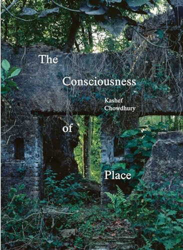 Stock image for The Consciousness of Place for sale by PBShop.store US