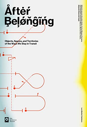 Imagen de archivo de After Belonging: Objects, Spaces, and Territories of the Ways We Stay in Transit a la venta por AwesomeBooks