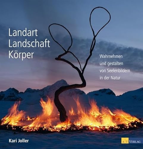 Stock image for Landart Landschaft Krper for sale by BuchZeichen-Versandhandel