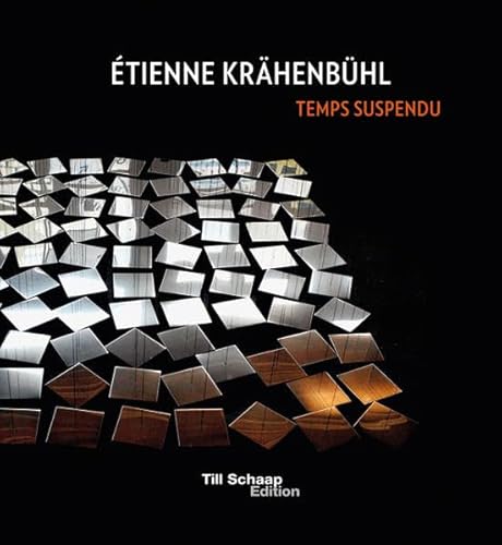 Imagen de archivo de Etienne Krahenbuhl Temps Suspendu /multilingue XXX a la venta por BIBLIO-NET