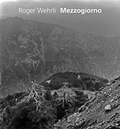 Stock image for Roger Wehrli: Mezzogiorno for sale by suspiratio - online bcherstube