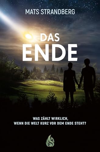 Stock image for Das Ende -Language: german for sale by GreatBookPrices