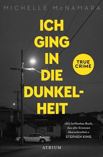 Imagen de archivo de Ich ging in die Dunkelheit -Language: german a la venta por GreatBookPrices