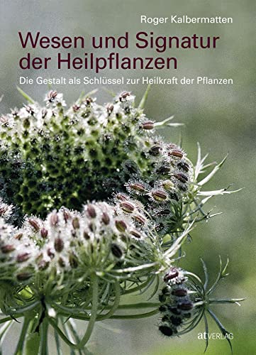 Stock image for Wesen und Signatur der Heilpflanzen -Language: german for sale by GreatBookPrices