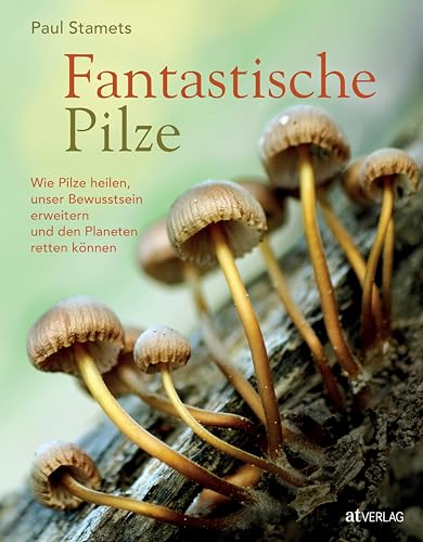 Stock image for Fantastische Pilze for sale by Blackwell's