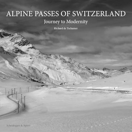 Imagen de archivo de Alpine Passes of Switzerland : Journey to Modernity a la venta por GreatBookPricesUK