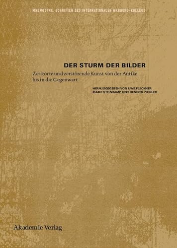 9783050049038: Der Sturm Der Bilder: Zerstrte Und Zerstrende Kunst Von Der Antike Bis in Die Gegenwart