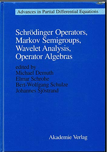 Imagen de archivo de Shrodinger Operators, Markov Semigroups, Wavelet Analysis, Operator Algebras a la venta por Ammareal