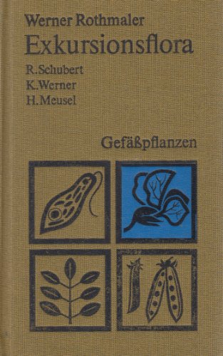 Stock image for 3 Bnde Exkursionsflora. Band 2 Gefpflanzen Band 3 Altlas der Gefpflanzen Band 4 Kritischer Band for sale by Abrahamschacht-Antiquariat Schmidt