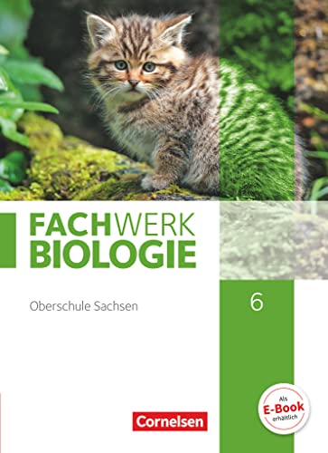 Stock image for Fachwerk Biologie 6. Schuljahr - Sachsen - Schlerbuch for sale by GreatBookPrices