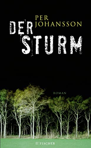 Stock image for Der Sturm for sale by Bookmans
