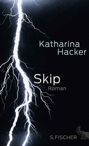 Skip: Roman - Katharina Hacker