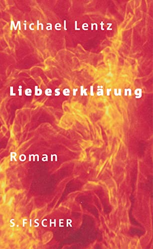 Stock image for Liebeserklrung: Roman for sale by medimops