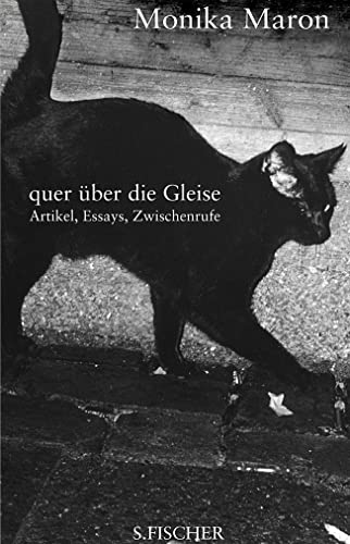 Quer über die Gleise. Essays, Artikel, Zwischenrufe.