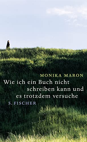 9783100488244: Wie ich ein Buch nicht schreiben kann und es trotzdem versuche