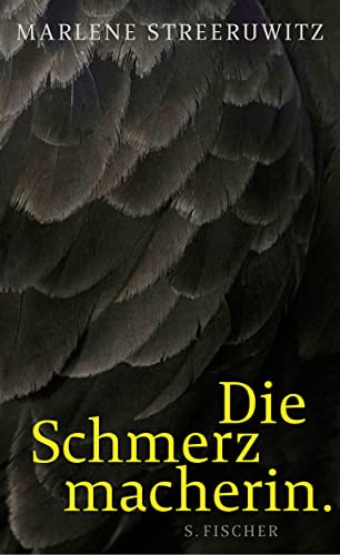 Die Schmerzmacherin.: Roman - Marlene Streeruwitz