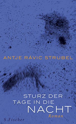 Stock image for Sturz der Tage in die Nacht: Roman for sale by medimops